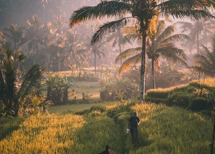 Velonia Iseh Hotel Sidemen (Bali)